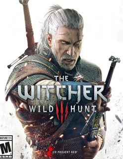 The Witcher Wild Hunt 2 Image
