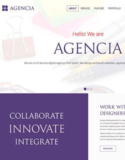 Onepage Business Wordpress Theme  Image