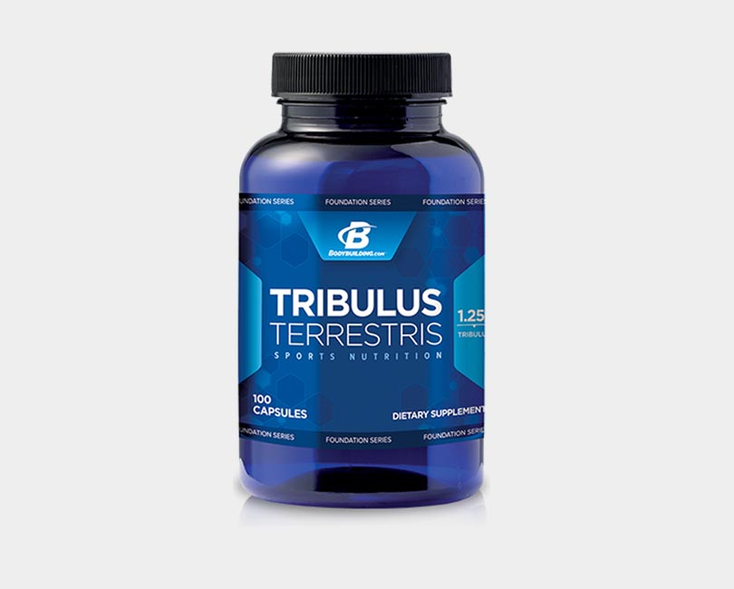 Ultimate Nutrition