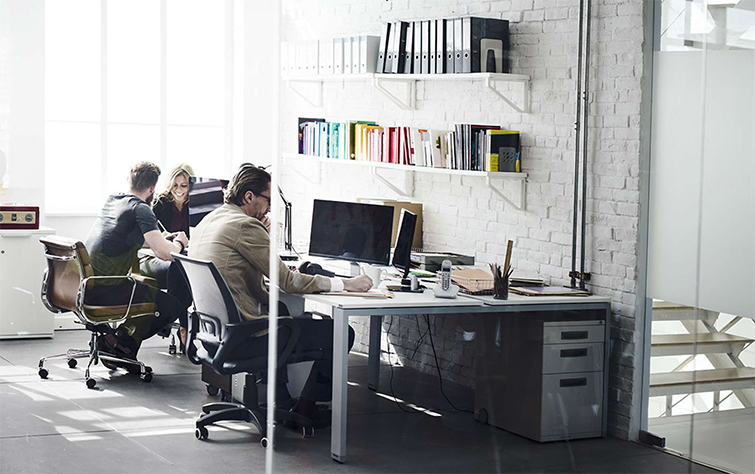 Branding &  Illustration