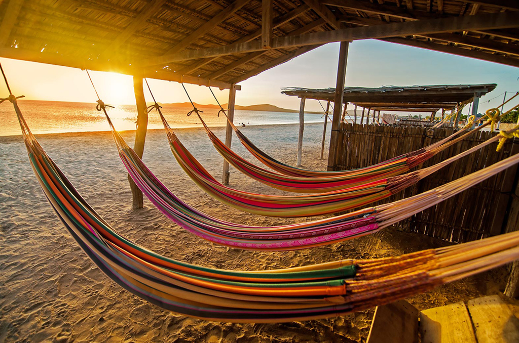 Professional and Amateur Photographer Works Submitted for Our Competition